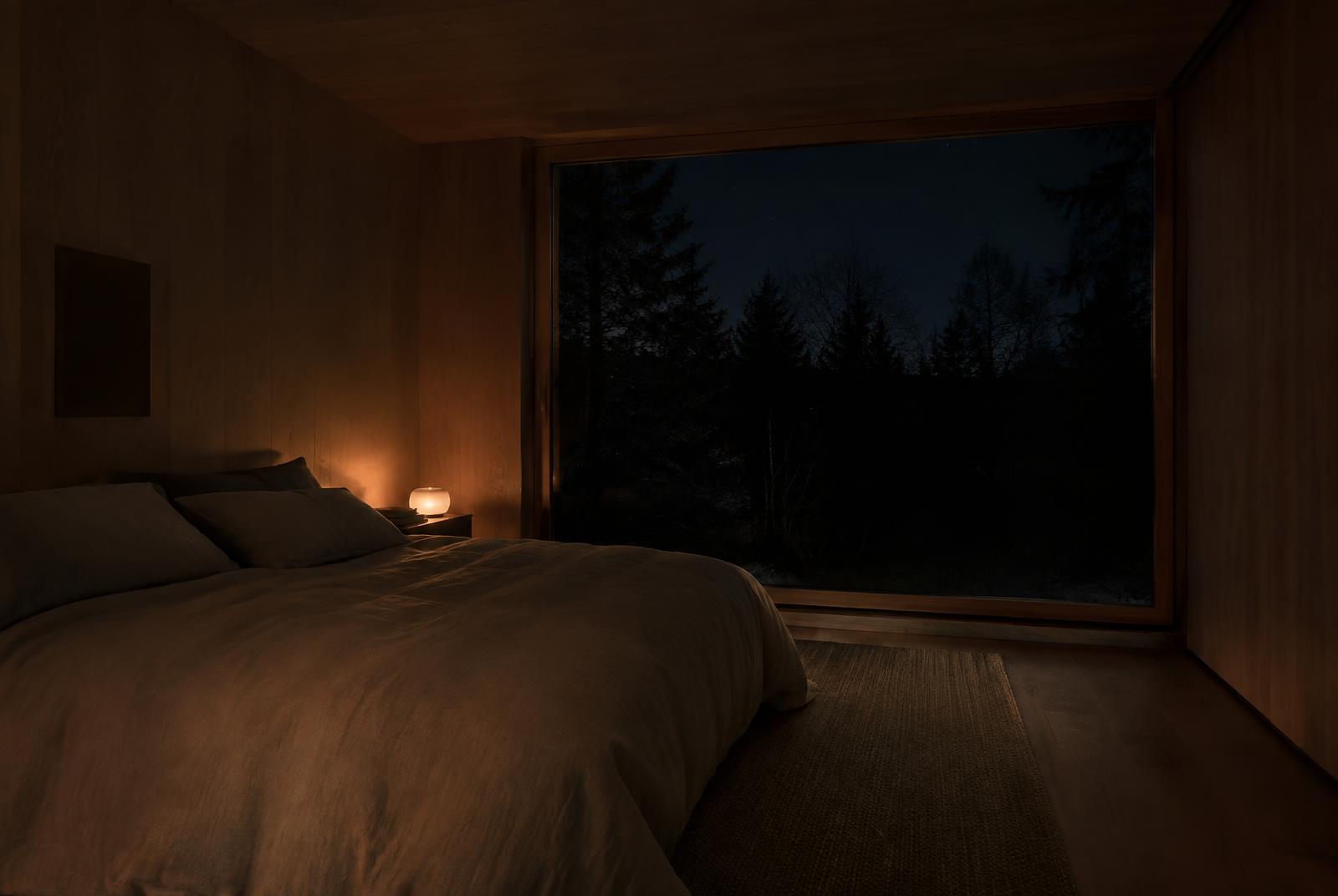 A bedroom lit by one lamp, the dark forest beyond